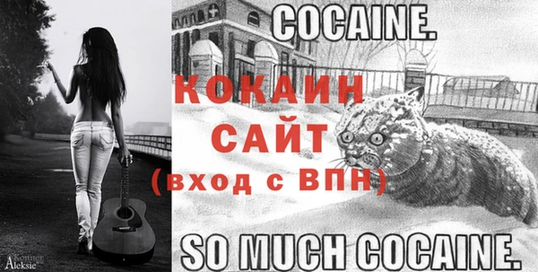 прущие грибы Лабытнанги