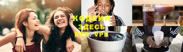 прущие грибы Лабытнанги