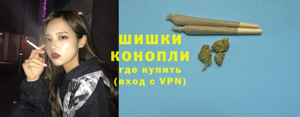 шишки Лагань