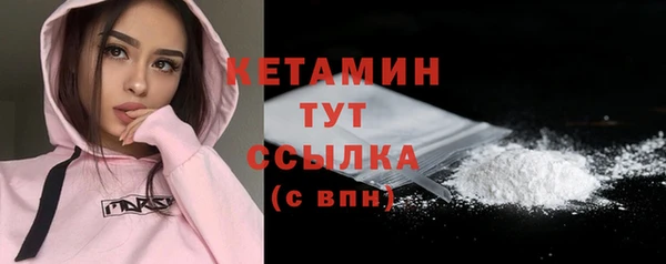индика Краснослободск