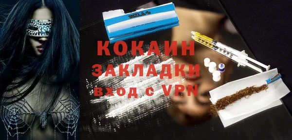 прущие грибы Лабытнанги