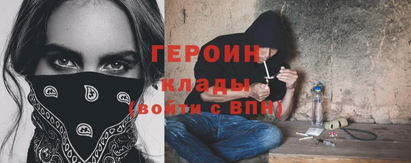 прущие грибы Лабытнанги
