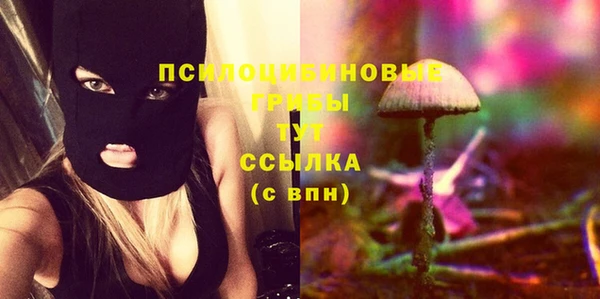 прущие грибы Лабытнанги