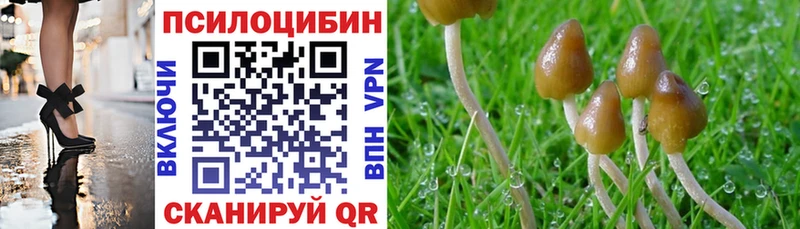 купить наркотик  OMG как войти  Галлюциногенные грибы Magic Shrooms  Сунжа 
