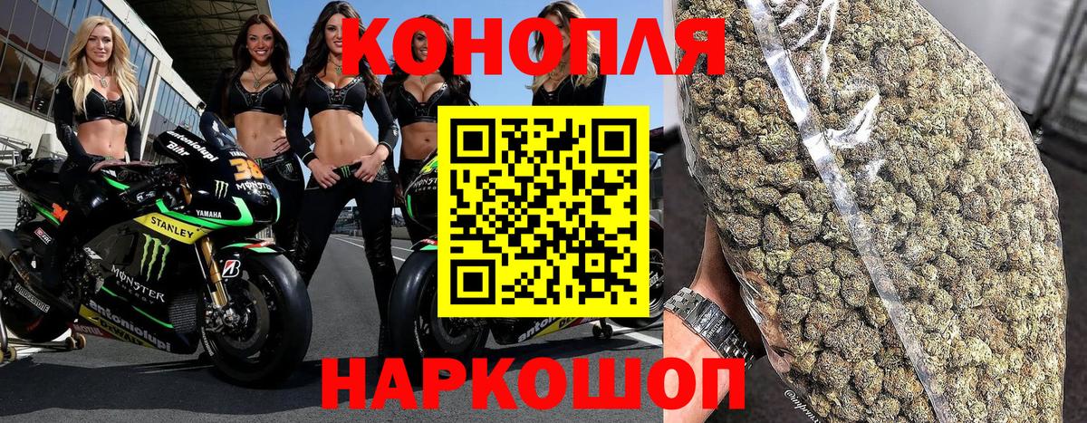 Канабис семена  Конопля планчик  Шишки марихуана план  Сунжа  Конопля Amnesia 